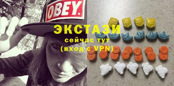 гашик Алексин