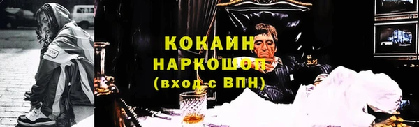 гашик Алексин