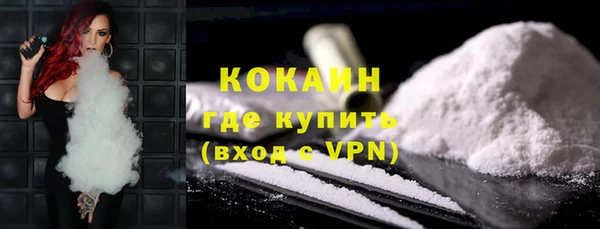 крисы Кулебаки