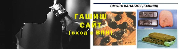 гашик Алексин