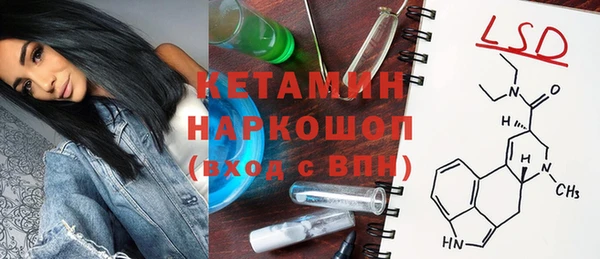 гашик Алексин