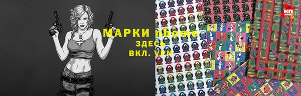 гашик Алексин
