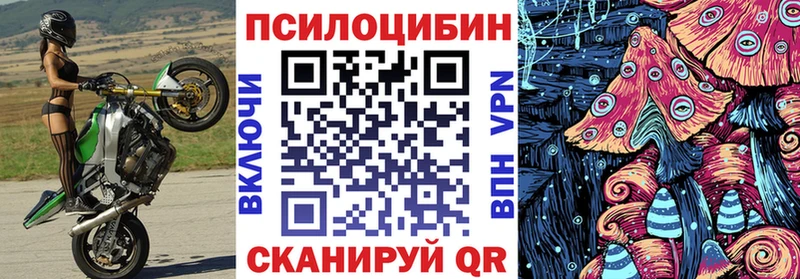 Галлюциногенные грибы Cubensis  цены   Боровск 